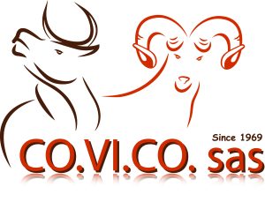 logo (2)